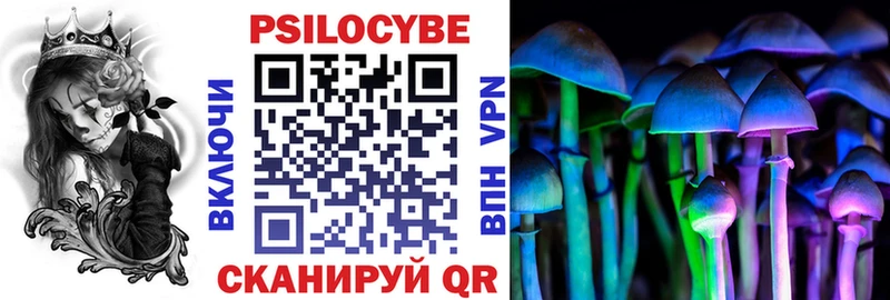Псилоцибиновые грибы Psilocybe  Инза 