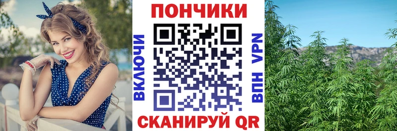даркнет какой сайт Инза Конопля сатива
